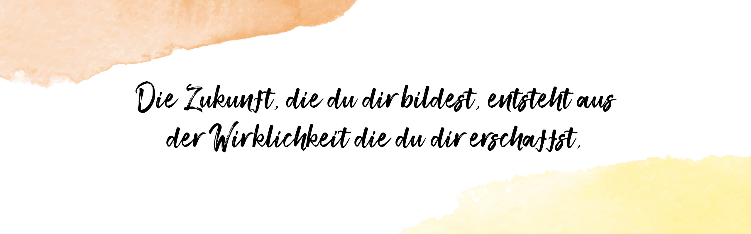 Sunflower_Bilder_Website18